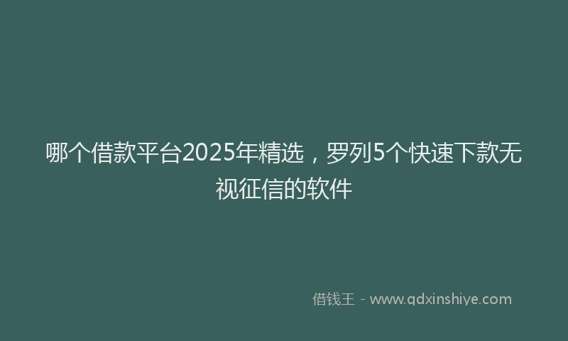 哪个借款平台2025年精选，罗列5个快速下款无视征信的软件