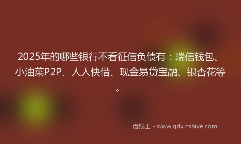 2025年的哪些银行不看征信负债有：瑞信钱包、小油菜P2P、人人快借、现金易贷宝融、银杏花等。