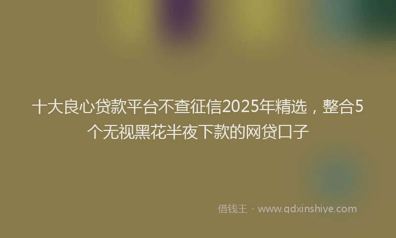 十大良心贷款平台不查征信2025年精选，整合5个无视黑花半夜下款的网贷口子
