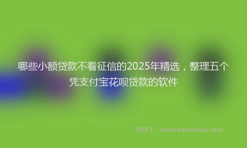 哪些小额贷款不看征信的2025年精选，整理五个凭支付宝花呗贷款的软件