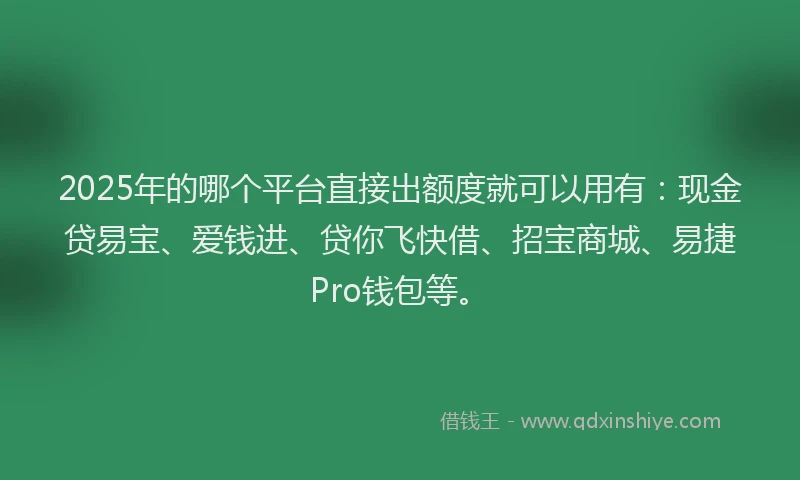 2025年的哪个平台直接出额度就可以用有：现金贷易宝、爱钱进、贷你飞快借、招宝商城、易捷Pro钱包等。