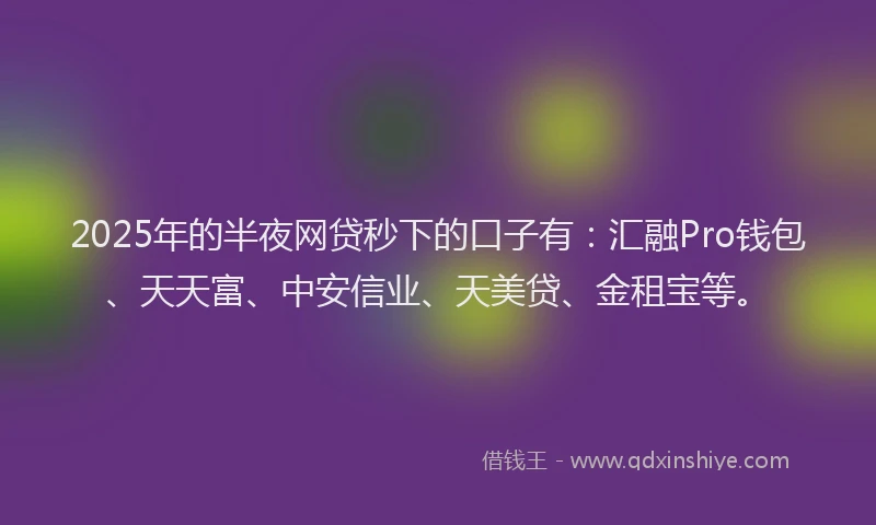 2025年的半夜网贷秒下的口子有：汇融Pro钱包、天天富、中安信业、天美贷、金租宝等。