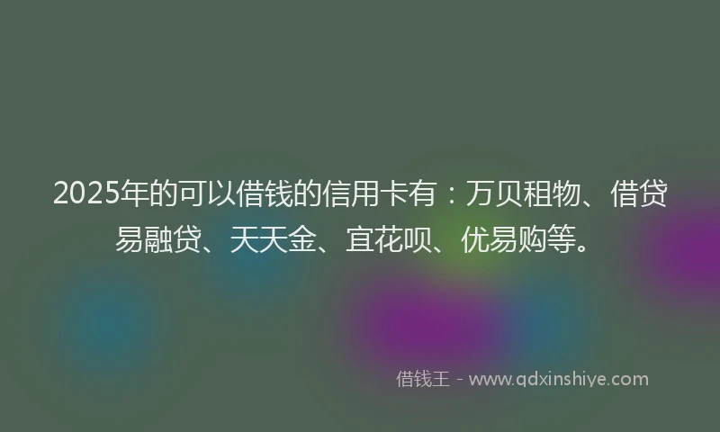 2025年的可以借钱的信用卡有：万贝租物、借贷易融贷、天天金、宜花呗、优易购等。