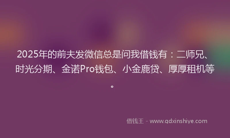 2025年的前夫发微信总是问我借钱有：二师兄、时光分期、金诺Pro钱包、小金鹿贷、厚厚租机等。