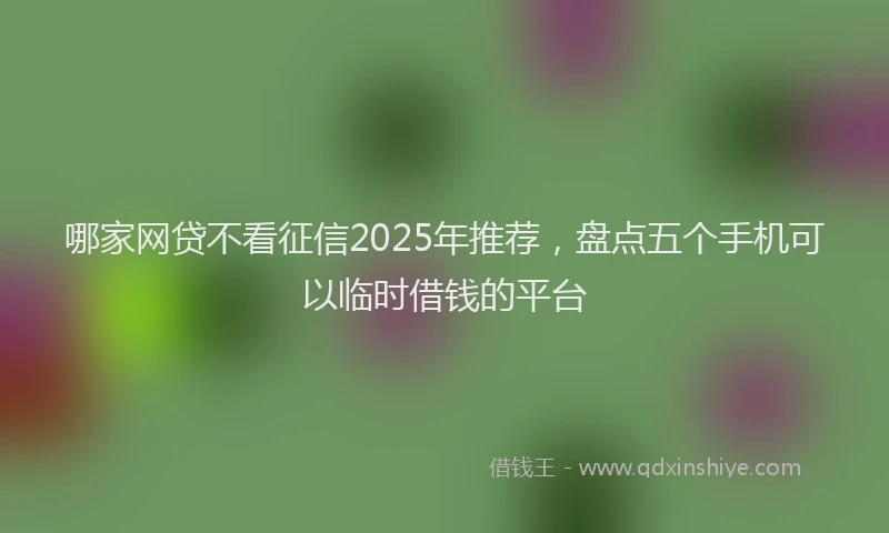 哪家网贷不看征信2025年推荐，盘点五个手机可以临时借钱的平台