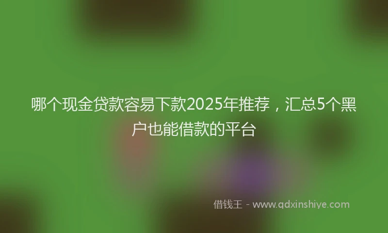 哪个现金贷款容易下款2025年推荐，汇总5个黑户也能借款的平台