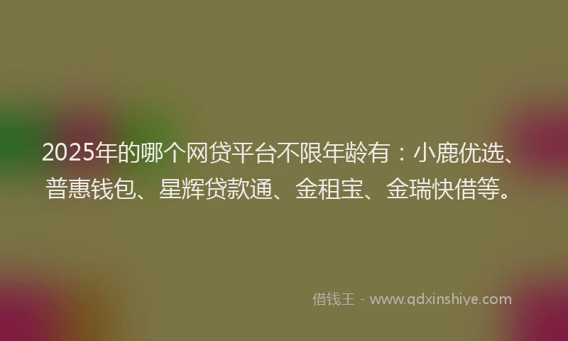 2025年的哪个网贷平台不限年龄有：小鹿优选、普惠钱包、星辉贷款通、金租宝、金瑞快借等。