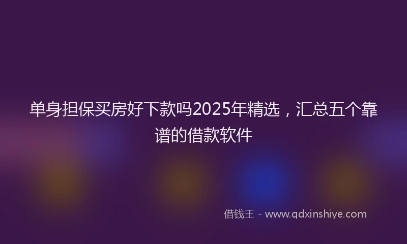 单身担保买房好下款吗2025年精选，汇总五个靠谱的借款软件