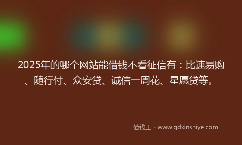 2025年的哪个网站能借钱不看征信有：比速易购、随行付、众安贷、诚信一周花、星愿贷等。