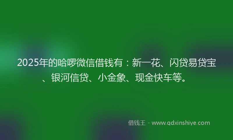 2025年的哈啰微信借钱有：新一花、闪贷易贷宝、银河信贷、小金象、现金快车等。
