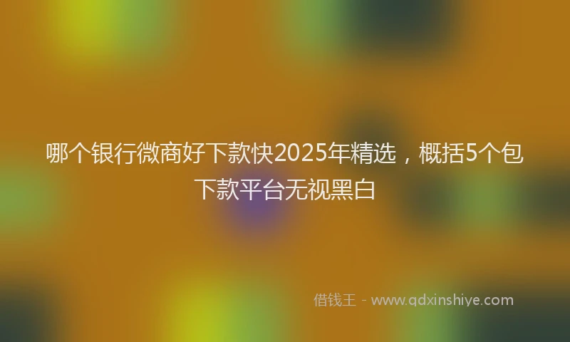 哪个银行微商好下款快2025年精选，概括5个包下款平台无视黑白
