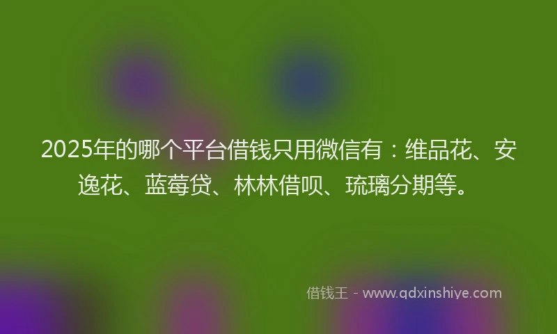 2025年的哪个平台借钱只用微信有：维品花、安逸花、蓝莓贷、林林借呗、琉璃分期等。