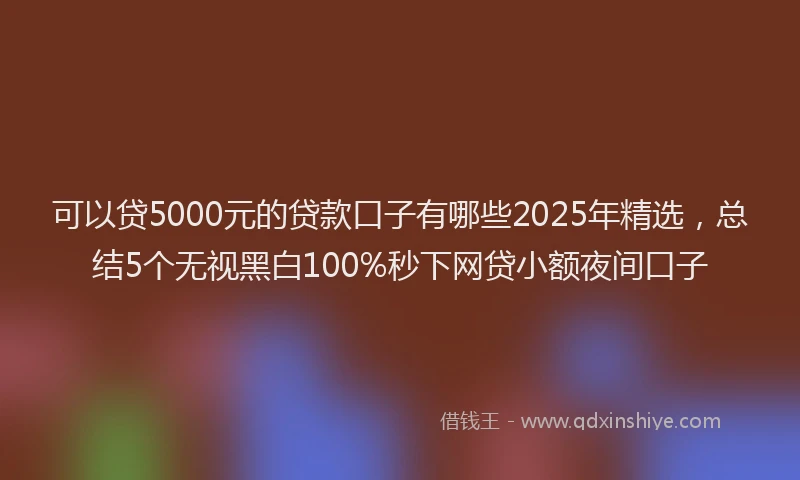 可以贷5000元的贷款口子有哪些2025年精选，总结5个无视黑白100%秒下网贷小额夜间口子