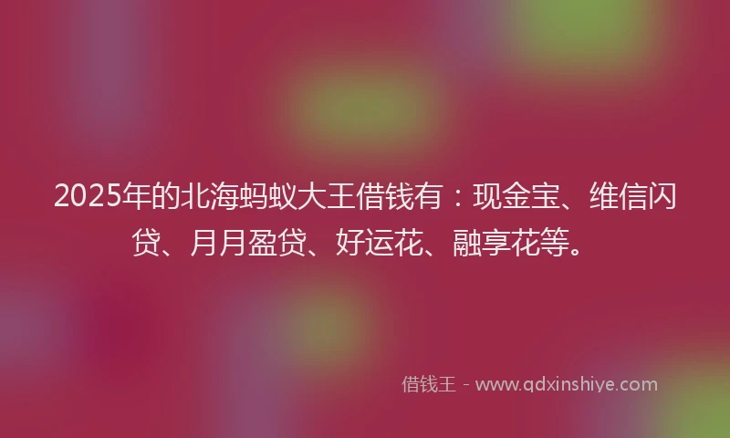 2025年的北海蚂蚁大王借钱有：现金宝、维信闪贷、月月盈贷、好运花、融享花等。