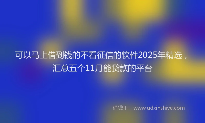 可以马上借到钱的不看征信的软件2025年精选，汇总五个11月能贷款的平台
