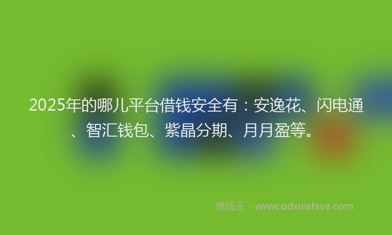 2025年的哪儿平台借钱安全有：安逸花、闪电通、智汇钱包、紫晶分期、月月盈等。