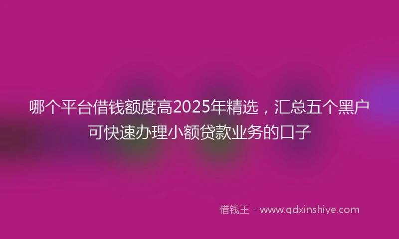 哪个平台借钱额度高2025年精选，汇总五个黑户可快速办理小额贷款业务的口子