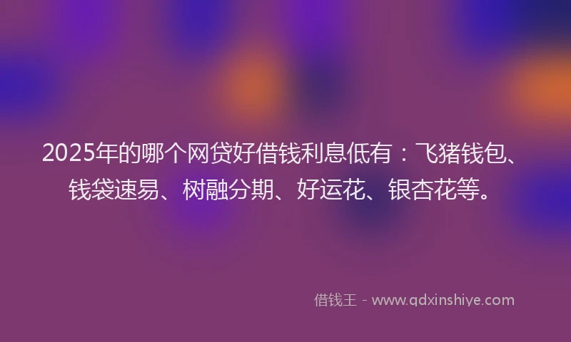2025年的哪个网贷好借钱利息低有：飞猪钱包、钱袋速易、树融分期、好运花、银杏花等。