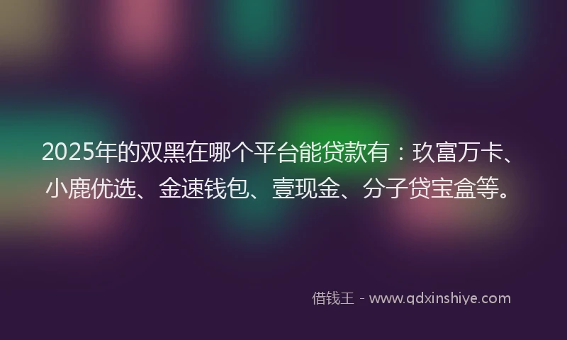 2025年的双黑在哪个平台能贷款有：玖富万卡、小鹿优选、金速钱包、壹现金、分子贷宝盒等。