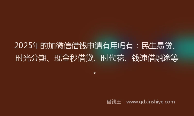 2025年的加微信借钱申请有用吗有：民生易贷、时光分期、现金秒借贷、时代花、钱速借融途等。