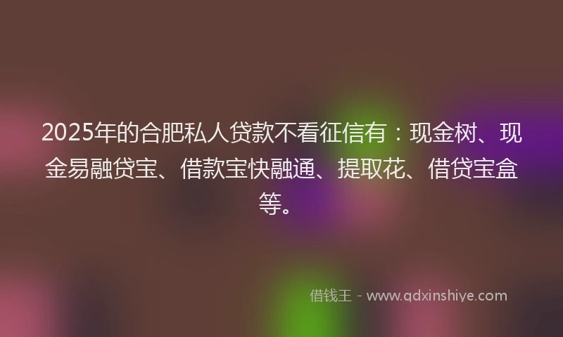 2025年的合肥私人贷款不看征信有：现金树、现金易融贷宝、借款宝快融通、提取花、借贷宝盒等。