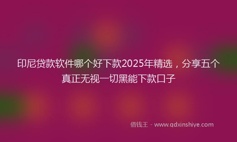 印尼贷款软件哪个好下款2025年精选，分享五个真正无视一切黑能下款口子