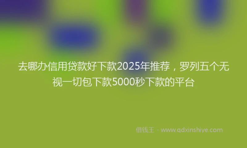 去哪办信用贷款好下款2025年推荐，罗列五个无视一切包下款5000秒下款的平台