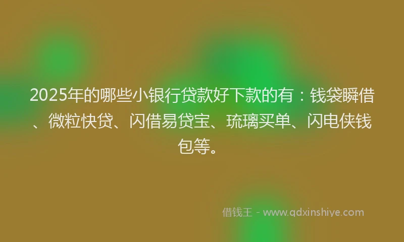 2025年的哪些小银行贷款好下款的有：钱袋瞬借、微粒快贷、闪借易贷宝、琉璃买单、闪电侠钱包等。