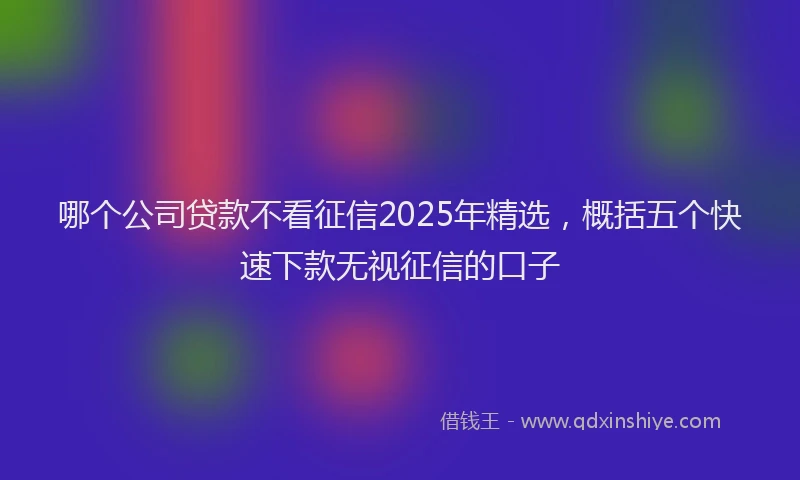 哪个公司贷款不看征信2025年精选，概括五个快速下款无视征信的口子