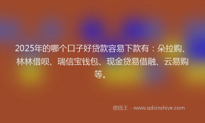 2025年的哪个口子好贷款容易下款有：朵拉购、林林借呗、瑞信宝钱包、现金贷易借融、云易购等。