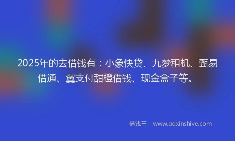 2025年的去借钱有：小象快贷、九梦租机、甄易借通、翼支付甜橙借钱、现金盒子等。