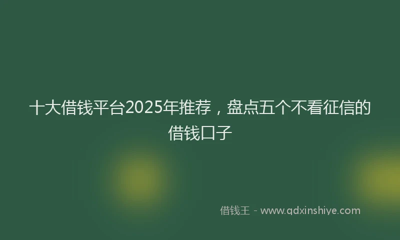 十大借钱平台2025年推荐，盘点五个不看征信的借钱口子
