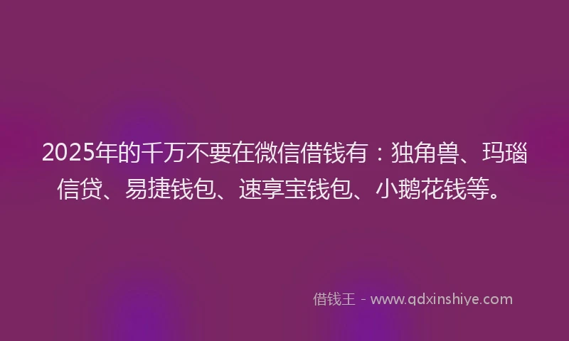 2025年的千万不要在微信借钱有：独角兽、玛瑙信贷、易捷钱包、速享宝钱包、小鹅花钱等。