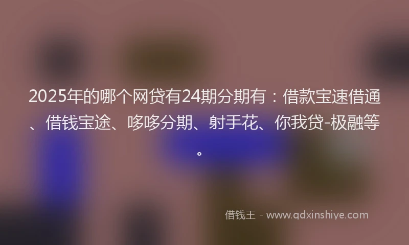 2025年的哪个网贷有24期分期有：借款宝速借通、借钱宝途、哆哆分期、射手花、你我贷-极融等。