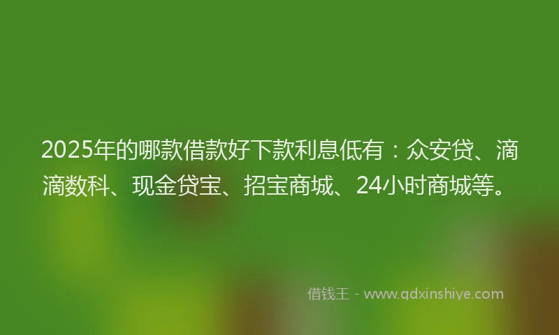 2025年的哪款借款好下款利息低有：众安贷、滴滴数科、现金贷宝、招宝商城、24小时商城等。