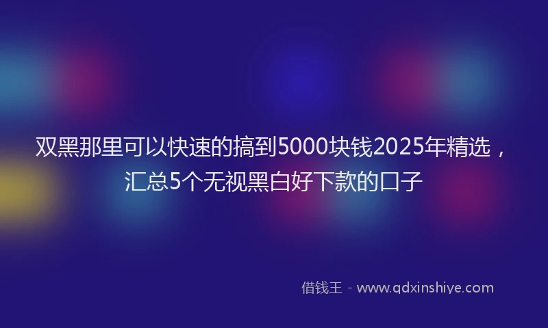 双黑那里可以快速的搞到5000块钱2025年精选，汇总5个无视黑白好下款的口子