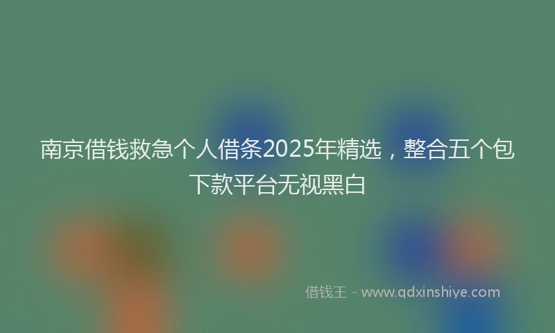 南京借钱救急个人借条2025年精选，整合五个包下款平台无视黑白