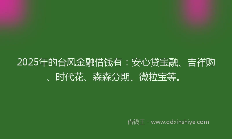2025年的台风金融借钱有：安心贷宝融、吉祥购、时代花、森森分期、微粒宝等。