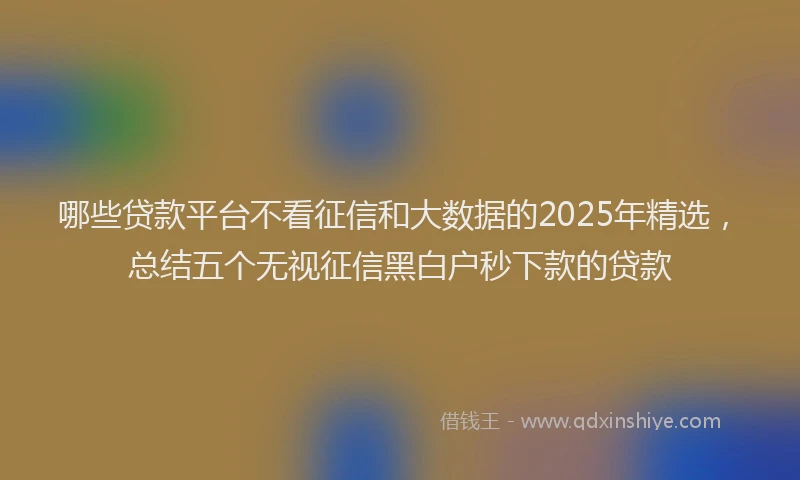 哪些贷款平台不看征信和大数据的2025年精选，总结五个无视征信黑白户秒下款的贷款