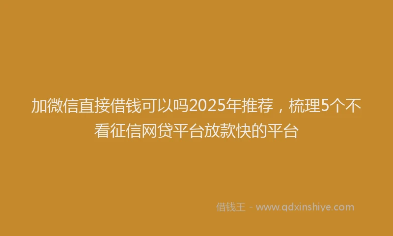 加微信直接借钱可以吗2025年推荐，梳理5个不看征信网贷平台放款快的平台