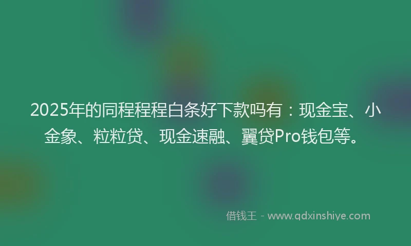 2025年的同程程程白条好下款吗有：现金宝、小金象、粒粒贷、现金速融、翼贷Pro钱包等。