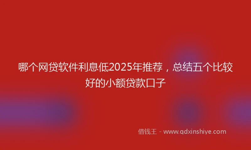 哪个网贷软件利息低2025年推荐，总结五个比较好的小额贷款口子