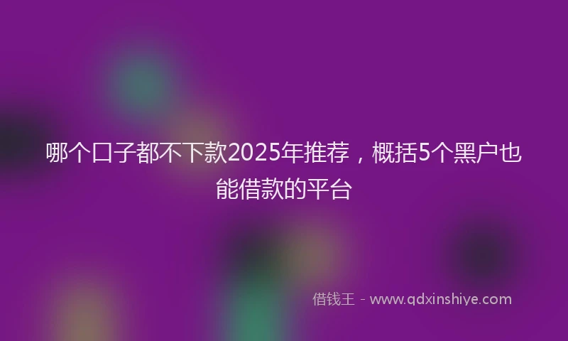 哪个口子都不下款2025年推荐，概括5个黑户也能借款的平台