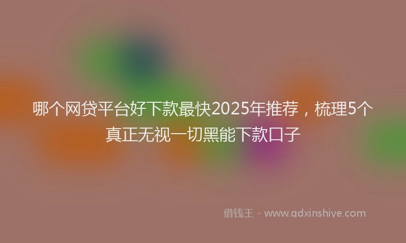 哪个网贷平台好下款最快2025年推荐，梳理5个真正无视一切黑能下款口子