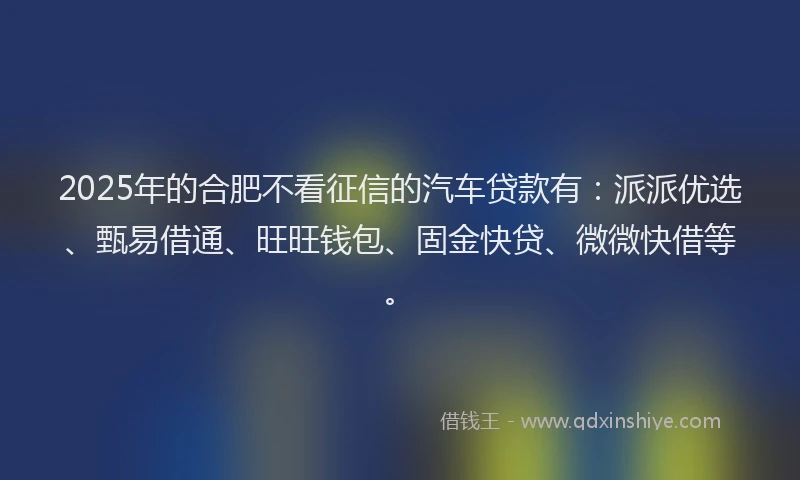 2025年的合肥不看征信的汽车贷款有：派派优选、甄易借通、旺旺钱包、固金快贷、微微快借等。