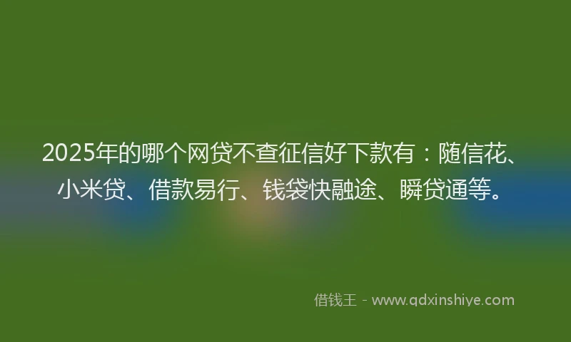 2025年的哪个网贷不查征信好下款有：随信花、小米贷、借款易行、钱袋快融途、瞬贷通等。