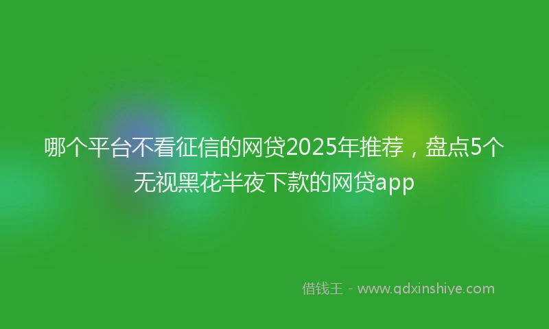 哪个平台不看征信的网贷2025年推荐，盘点5个无视黑花半夜下款的网贷app