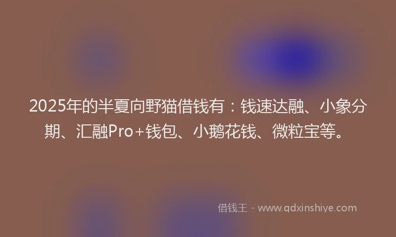 2025年的半夏向野猫借钱有：钱速达融、小象分期、汇融Pro+钱包、小鹅花钱、微粒宝等。