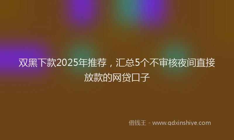 双黑下款2025年推荐，汇总5个不审核夜间直接放款的网贷口子