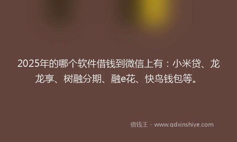 2025年的哪个软件借钱到微信上有：小米贷、龙龙享、树融分期、融e花、快鸟钱包等。